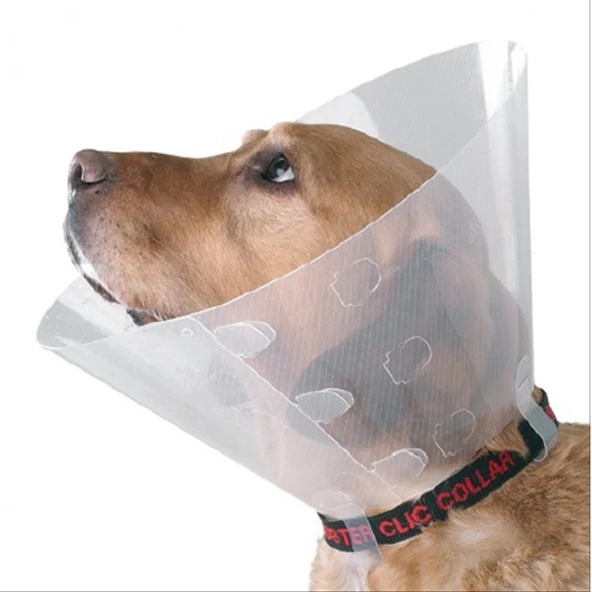 Elizabeth Kedi Köpek Yakalığı Small 12,5cm ø/ 28-33cm ürün görseli