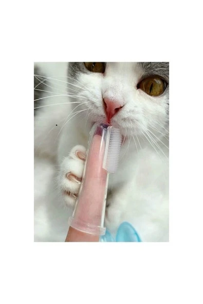 toptanabi Kedi Ve Köpek Diş Fırçası Evcil Hayvan Diş Bakım Fırçası Yumuşak Diş Tartar Slikon Diş Fırçası - 4