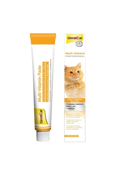 Gimcat Multi Vitamin Kedi Macunu 20 gr