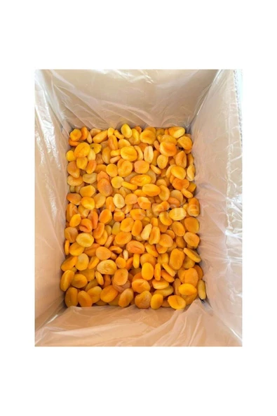 KAYISICENTER Toptan Lüks Kuru Kayısı 10 Kg