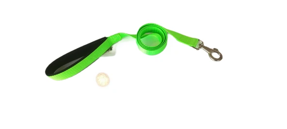 Markapet Köpek Gezdirme Kayışı 2 cm x 115 cm Yeşil - 2