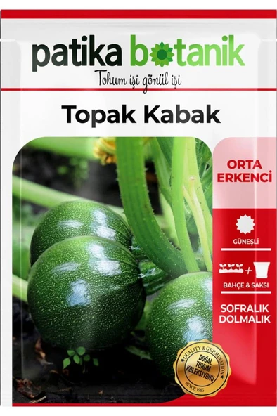 10 KG Topak Kabak Tohumu - Resim 2