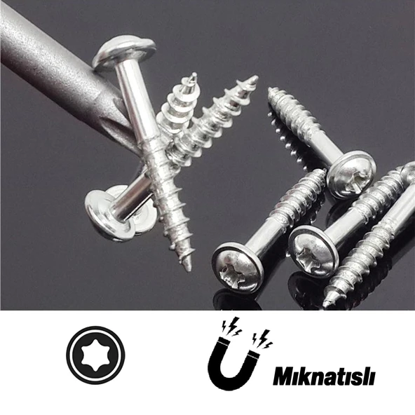 Bits Uç Mıknatıslı Torx T30 75 mm 10'lu Set Kutulu Manyetik 1/4" Matkap Ucu Tork 7.5 cm Uzunluk - 3