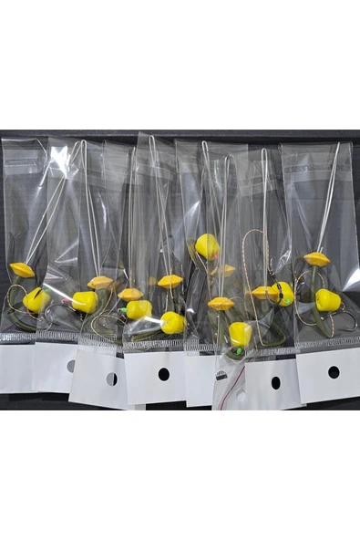 RİG VE BOLİ TAKIMI YÜKSEK VERİM HIZLI SÜPER KULLANIŞLI - 3