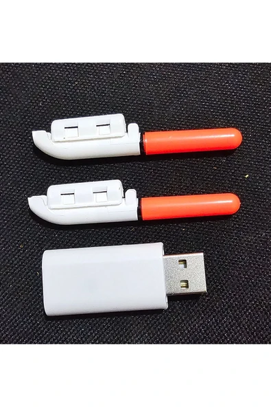 SAZAN YEMLEME OLTA KAMIŞ IŞIK çubuğu şarj edilebilir pille su geçirmez l gece balıkçılığı - 5