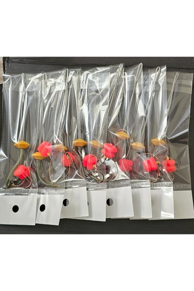 RİG VE BOLİ YÜZEN MODEL 8 ADET TAKIM YÜKSEK KALİTE SÜPER KULLANIŞLI - Resim 5