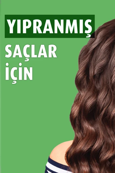 Shea Özlü Şampuan 360 ml - Resim 4