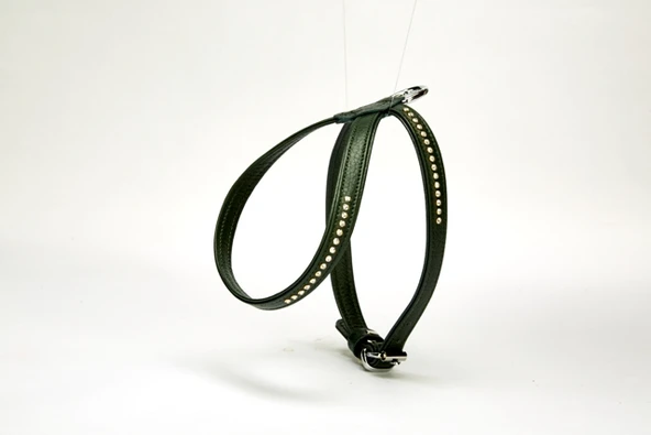 Doggie Flotter Swarovski Taşlı Deri Köpek Göğüs Tasması 1,2 x 25-35 cm Yeşil ürün görseli