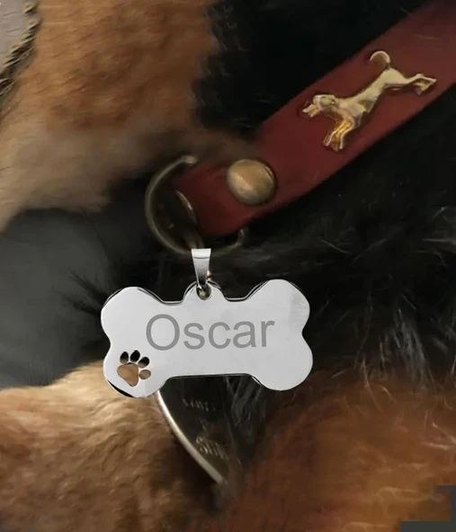 Kişiye Özel Kemik Model Patili Çelik Kedi Köpek Künyesi - 4