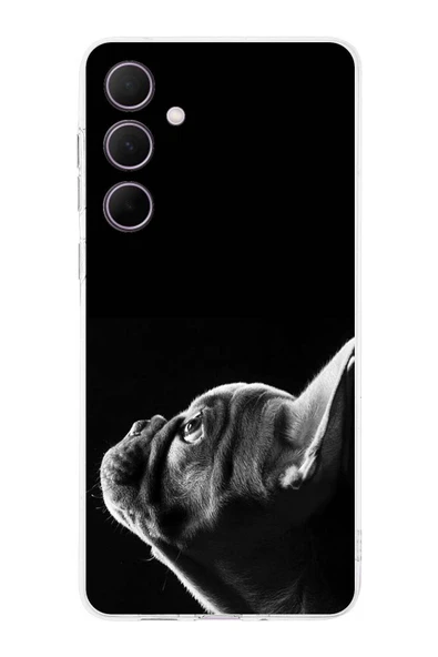 PrintiFy  Samsung Galaxy A56 ile Uyumlu Köpek 1 Kamera Korumalı Şeffaf Kılıf ürün görseli 1