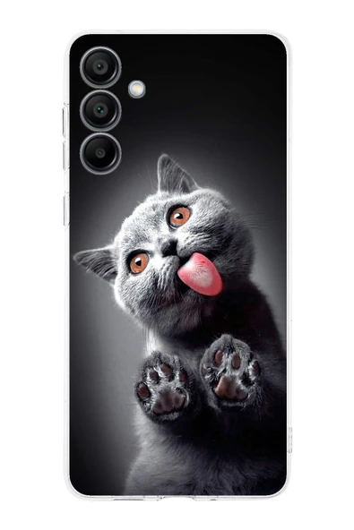 PrintiFy  Samsung Galaxy  A16 ile Uyumlu Kedi 2 Kamera Korumalı Şeffaf Kılıf ürün görseli 1