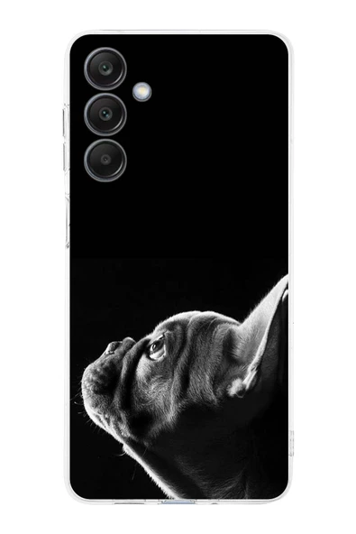 PrintiFy  Samsung Galaxy A26 ile Uyumlu Köpek 1 Kamera Korumalı Şeffaf Kılıf ürün görseli 1