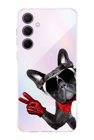 PrintiFy  Galaxy A56 ile Uyumlu Köpek 2 Kamera Korumalı Şeffaf Kılıf ürün görseli 1