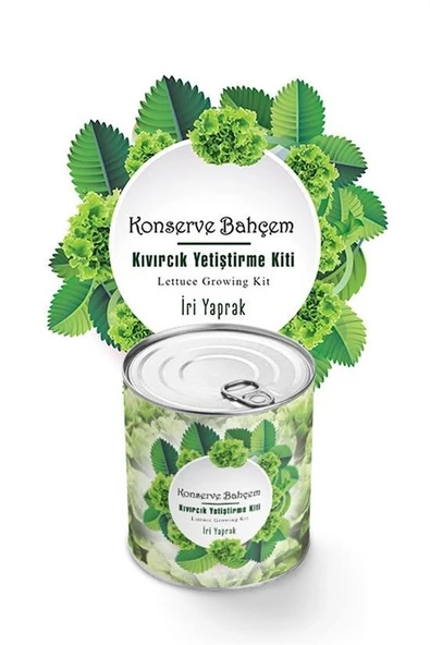 Konserve Bahçem Evde Konservede İri Yapraklı Kıvırcık Yetiştirme Kiti - 2