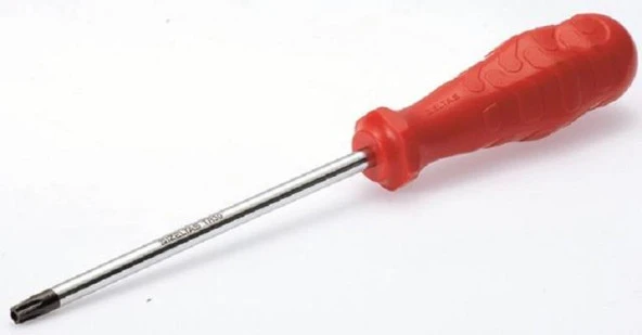 İzeltaş Torx Delikli Tornavida 4.5x100 4776180025