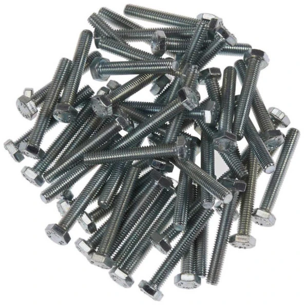 M16X50 DIN933 Cıvata(ALTIGEN) 8.8 Beyaz 2 Li Paket - 4