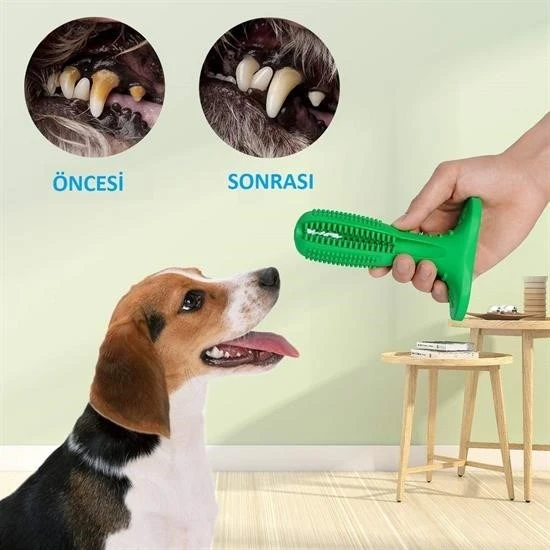 Köpek Diş Temizleyici ve Kaşıyıcı Sağlıklı Küçük Boy Oyuncak - 8