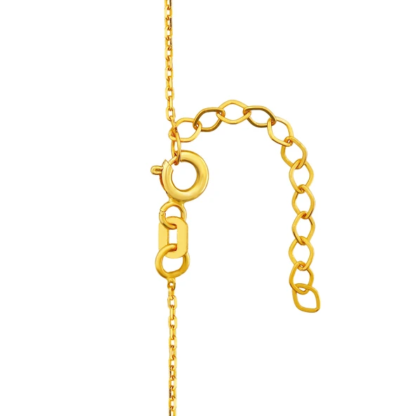 AgaKulche 5 gr Altın Külçe Kolye - Resim 4