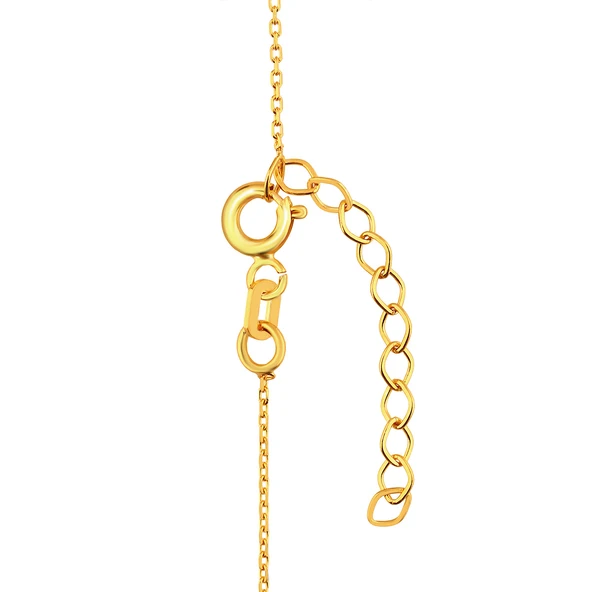 AgaKulche 1 gr Külçe Altın Kolye - Resim 4