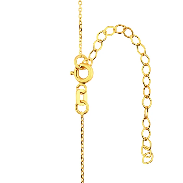 AgaKulche 10 gr Kalemli Altın Külçe Kolye - Resim 4