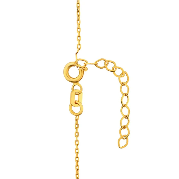 AgaKulche 10 gr Altın Külçe Kolye - Resim 4