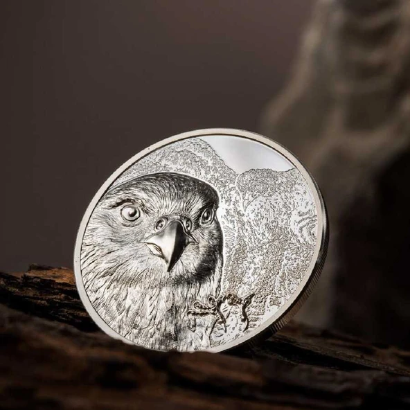 AgaKulche Moğol Şahini Gümüş Sikke Coin - 3