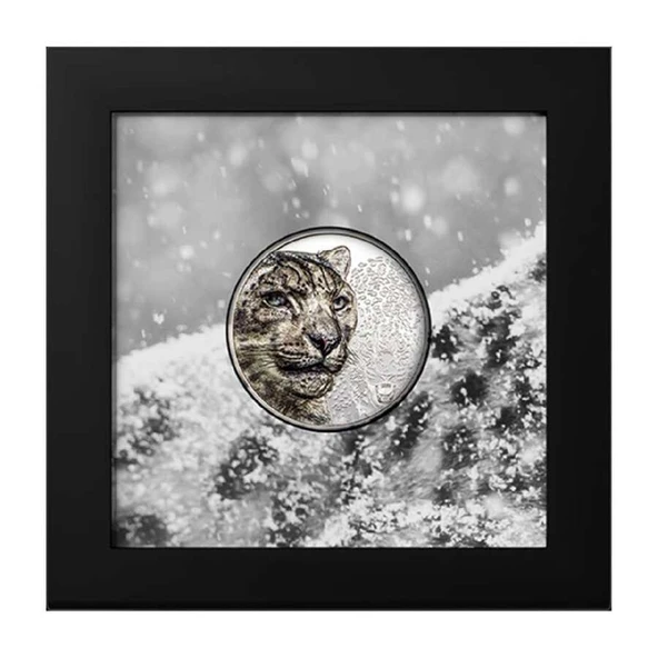 AgaKulche Kar Leoparı Gümüş Sikke Coin - 3