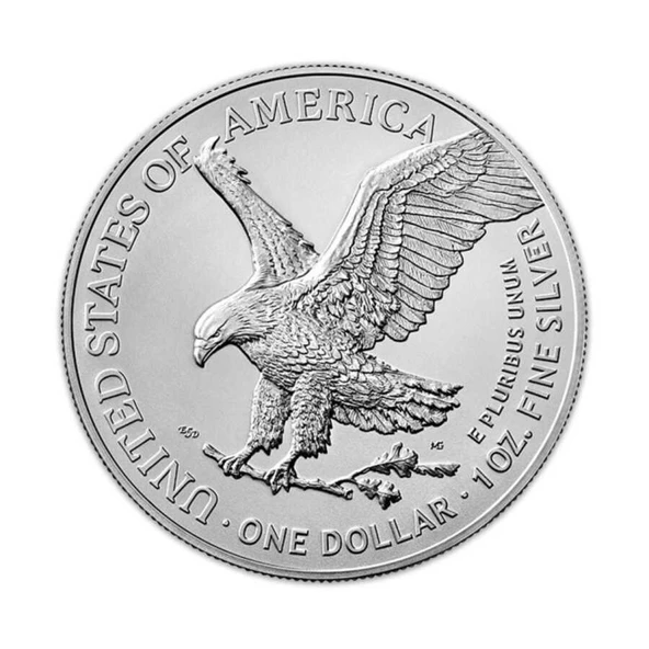 AgaKulche Fransa Bayrağı Gümüş Sikke Coin - 2