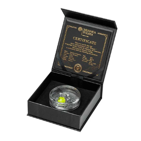 AgaKulche Büyücü Kristal Taşlı Gümüş Sikke Coin - 4