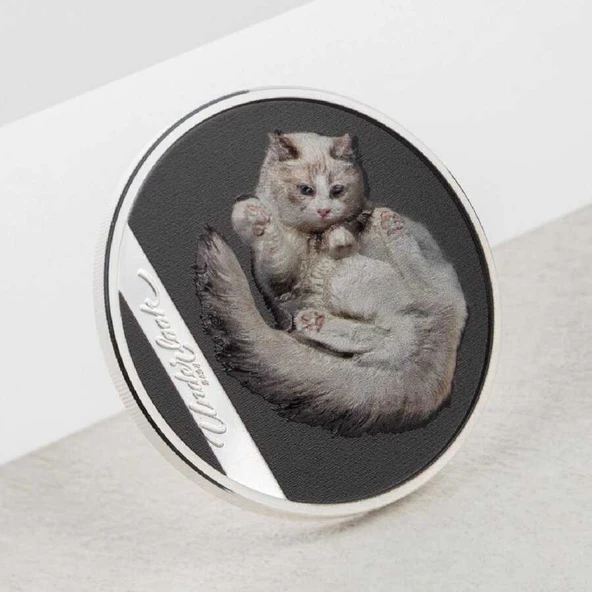 AgaKulche Beyaz Kedi 2024 Gümüş Sikke Coin - 3
