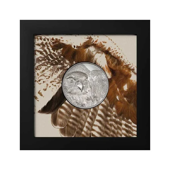 AgaKulche Moğol Şahini Gümüş Sikke Coin - 4