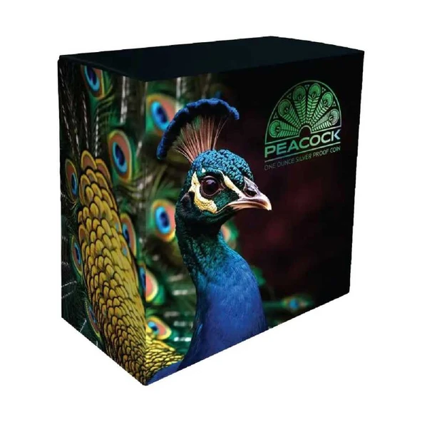 AgaKulche Tavuskuşu Gümüş Sikke Coin - 4