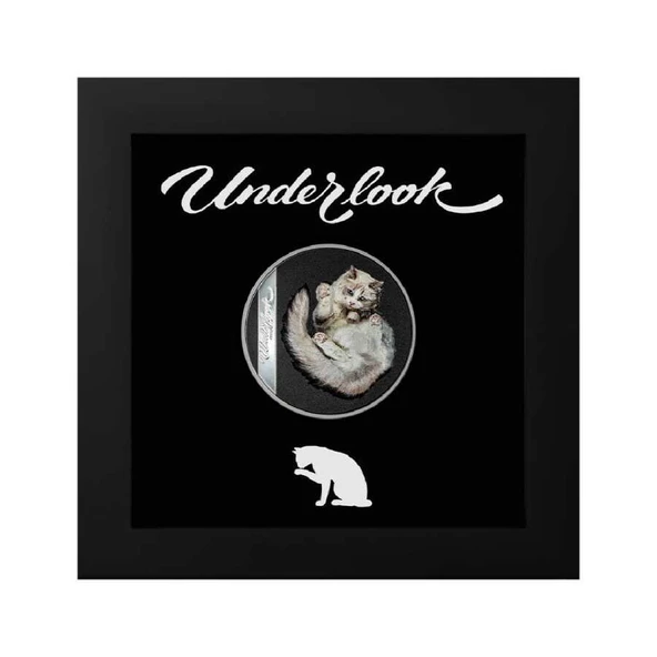 AgaKulche Beyaz Kedi 2024 Gümüş Sikke Coin - 5