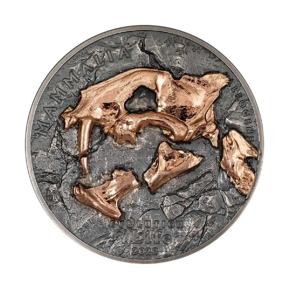 AgaKulche Nimravidae Evrimi 2023 1 Ons Gümüş Sikke Coin