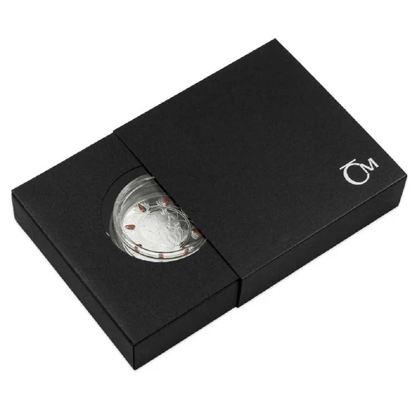 AgaKulche Diwali Festivali Kristal Taşlı Gümüş Sikke Coin - Resim 4