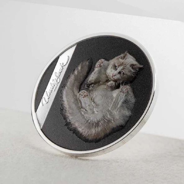 AgaKulche Beyaz Kedi 2024 Gümüş Sikke Coin - 4