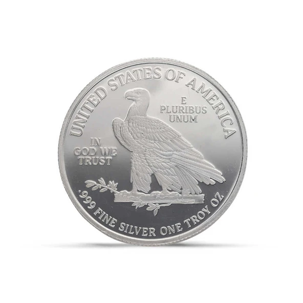 AgaKulche Amerikan Kartalı Gümüş Sikke Coin