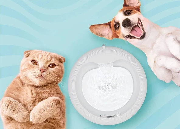 Cattie Kedi Köpek Su Pınarı Klasik Model 2,5 L Yeşil - Resim 3