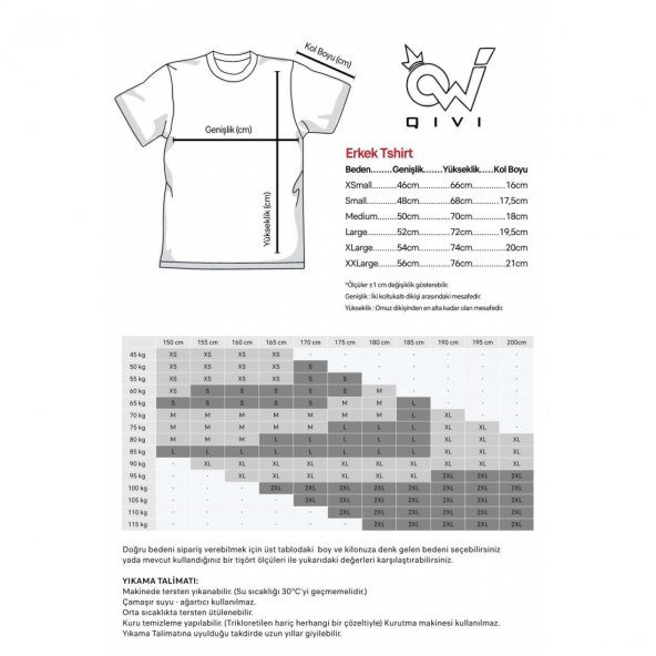 Burç Ikizler Gemini Baskılı Siyah Erkek Örme Tshirt - 2