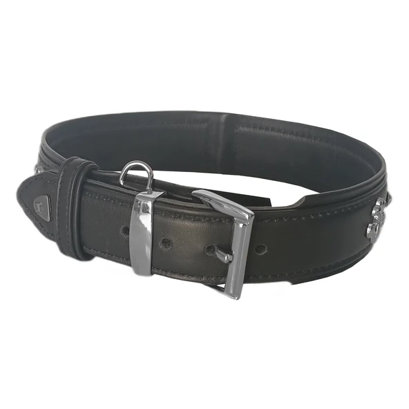 Markapet Deri Parlak Taşlı Köpek Boyun Tasması 44-50 cm Medium Siyah - Resim 9