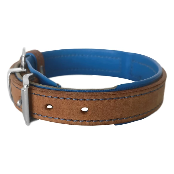 Markapet Lüks Deri Köpek Boyun Tasması 2x25-32 cm Mavi Kahverengi - Resim 2