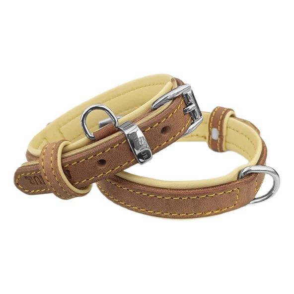 Markapet Lüks Deri Köpek Boyun Tasması 2x26-32 cm Sarı Kahverengi Small ürün görseli