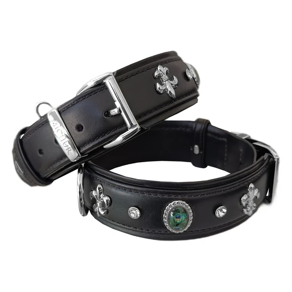 Markapet Deri Tavus Kuşu Tüyü Taşlı Köpek Boyun Tasması 44-50 cm Siyah - Resim 5