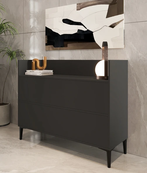 İNARCH DİZAYN Gale Çok Amaçlı Dolap, Dresuar, 2 Kapaklı Dolap, Antrasit, Ev-Ofis - 3