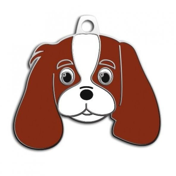 Cavalier King Charles Köpek Künyesi - 1