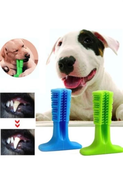 ByNevser® Köpek Diş Temizleyici ve Kaşıyıcı Sağlıklı Küçük Boy Oyuncak