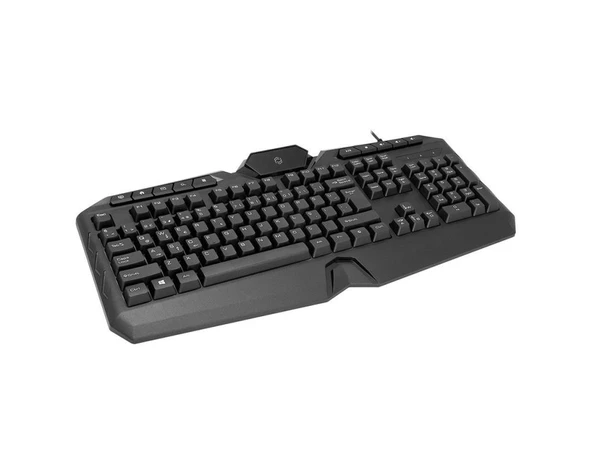Frisby FK-4860QU USB Q ışıklı MM siyah klavye - 2