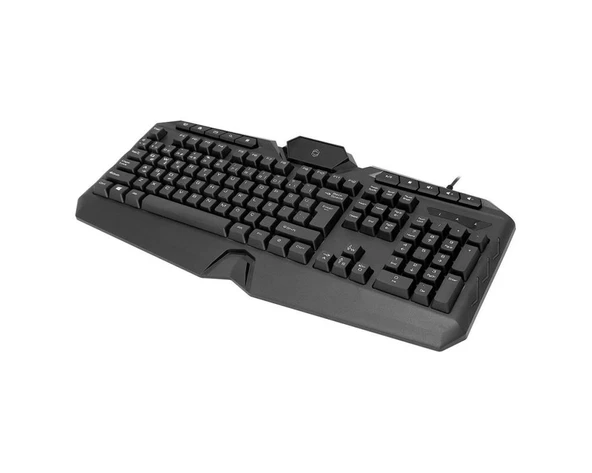 Frisby FK-4860QU USB Q ışıklı MM siyah klavye - 3