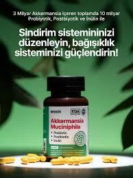 Anocin Akkermansia Muciniphila Probiyotik + Prebiyotik + Postbiyotik + İnulin 20 Tablet - 2