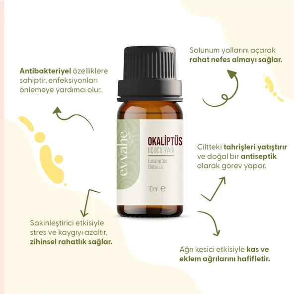 Evvahe Doğal Okaliptus Yağı (10 ml) - 2